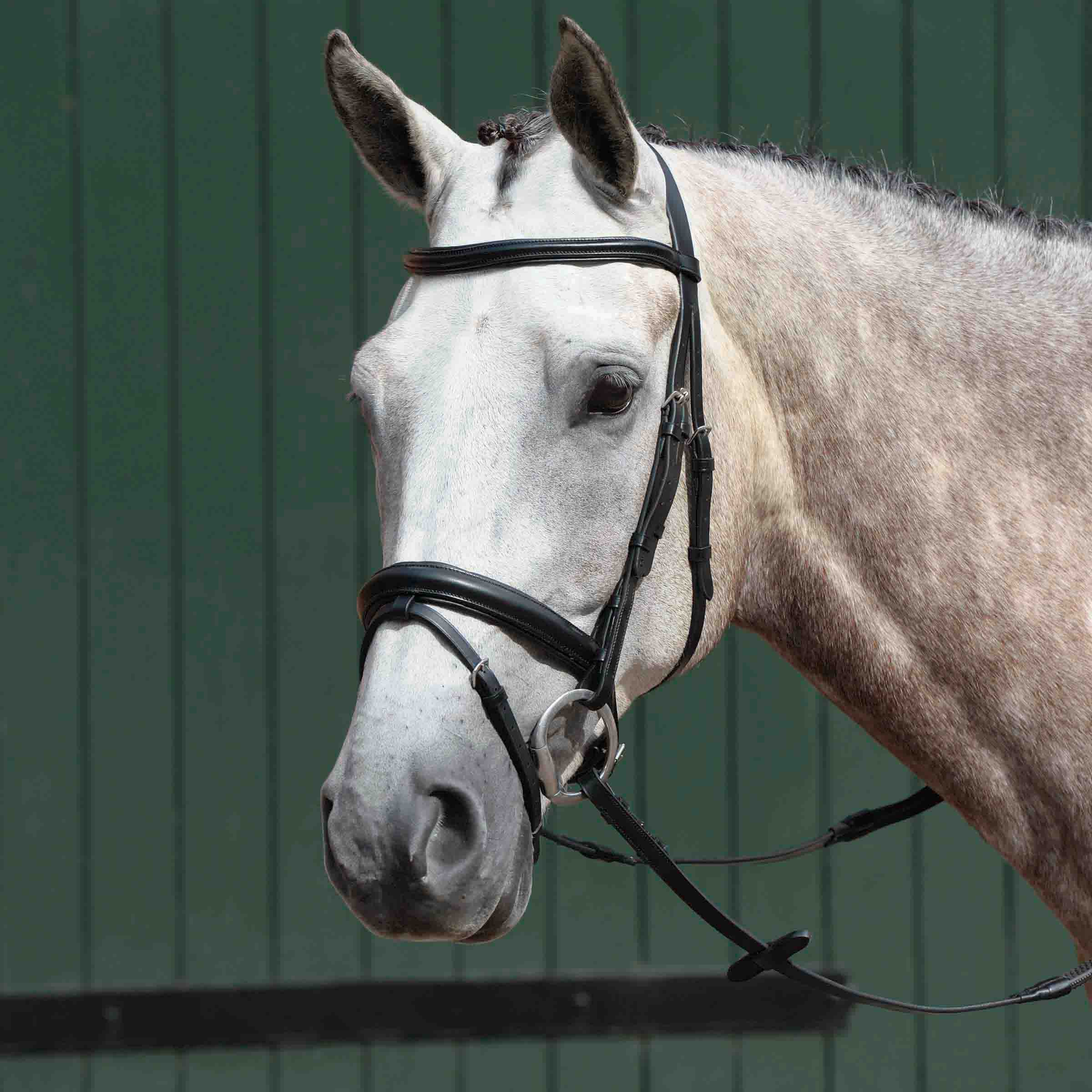 image_main - Black - Collegiate Essential Padded Raised Flash Bridle - .jpg