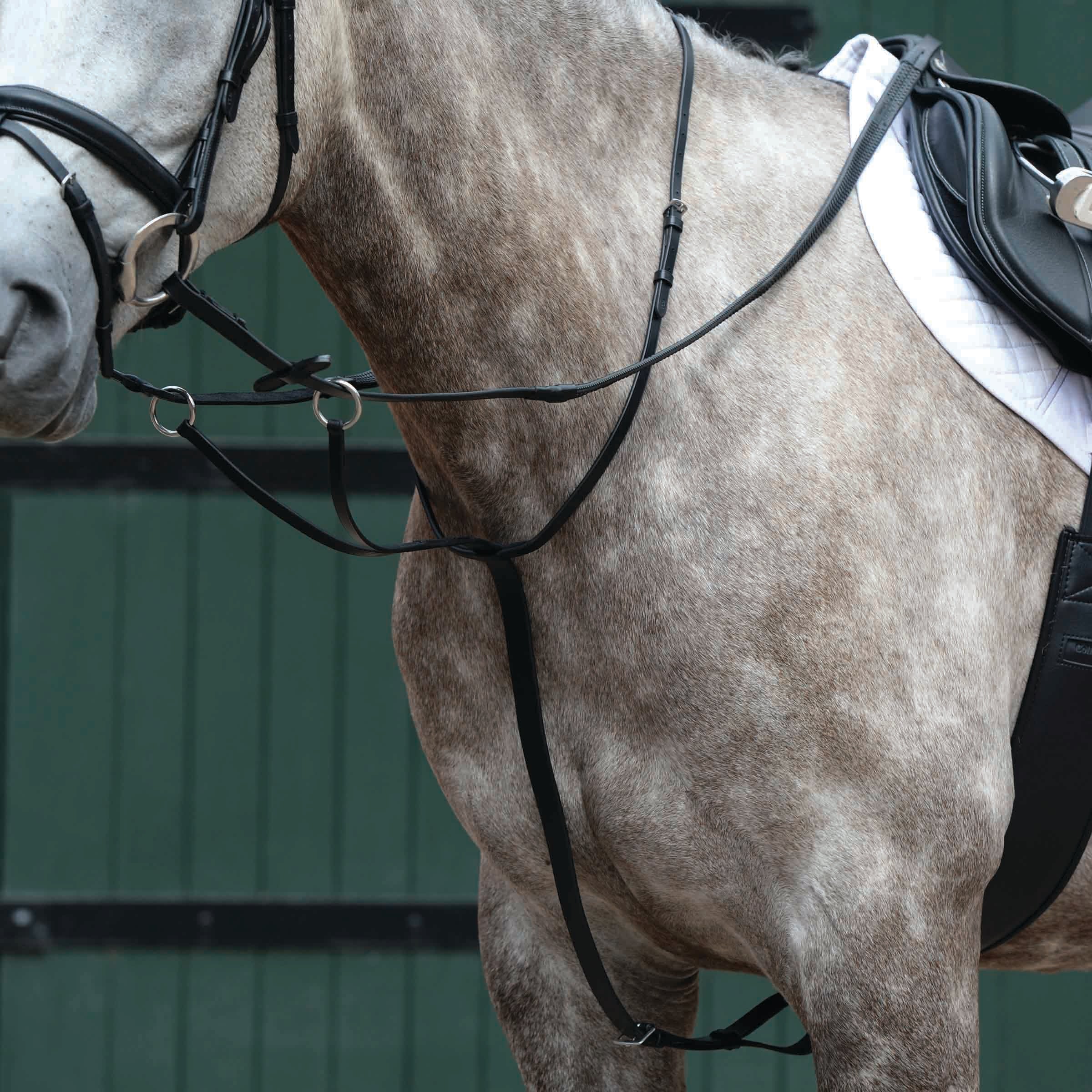 image_main - Black - Collegiate Essential Plain Flat Running Martingale - .jpg