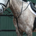 image_main - Black - Collegiate Essential Plain Flat Running Martingale - .jpg
