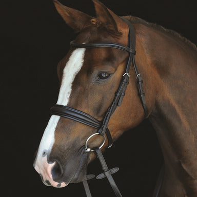 image_main - Black - Collegiate Mono Crown Padded Raised Cavesson Bridle - .jpg