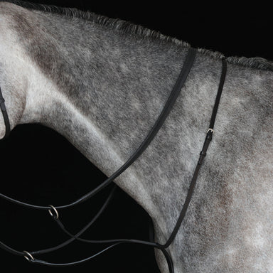 image_main - Black - Collegiate Running Martingale IV - .jpg