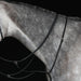 image_main - Black - Collegiate Running Martingale IV - .jpg