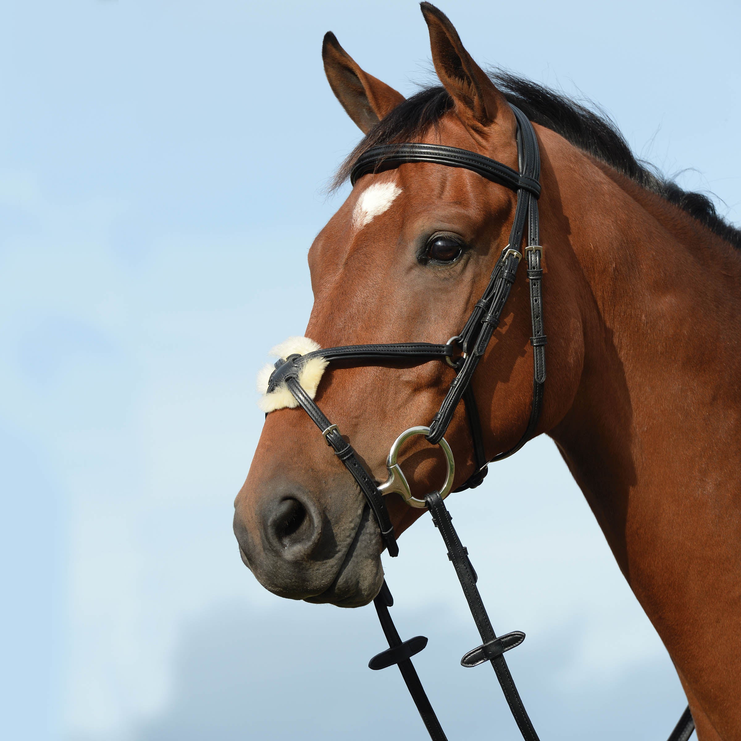 image_main - Black - Collegiate Syntovia+ Padded Raised Figure 8 Bridle - .jpg