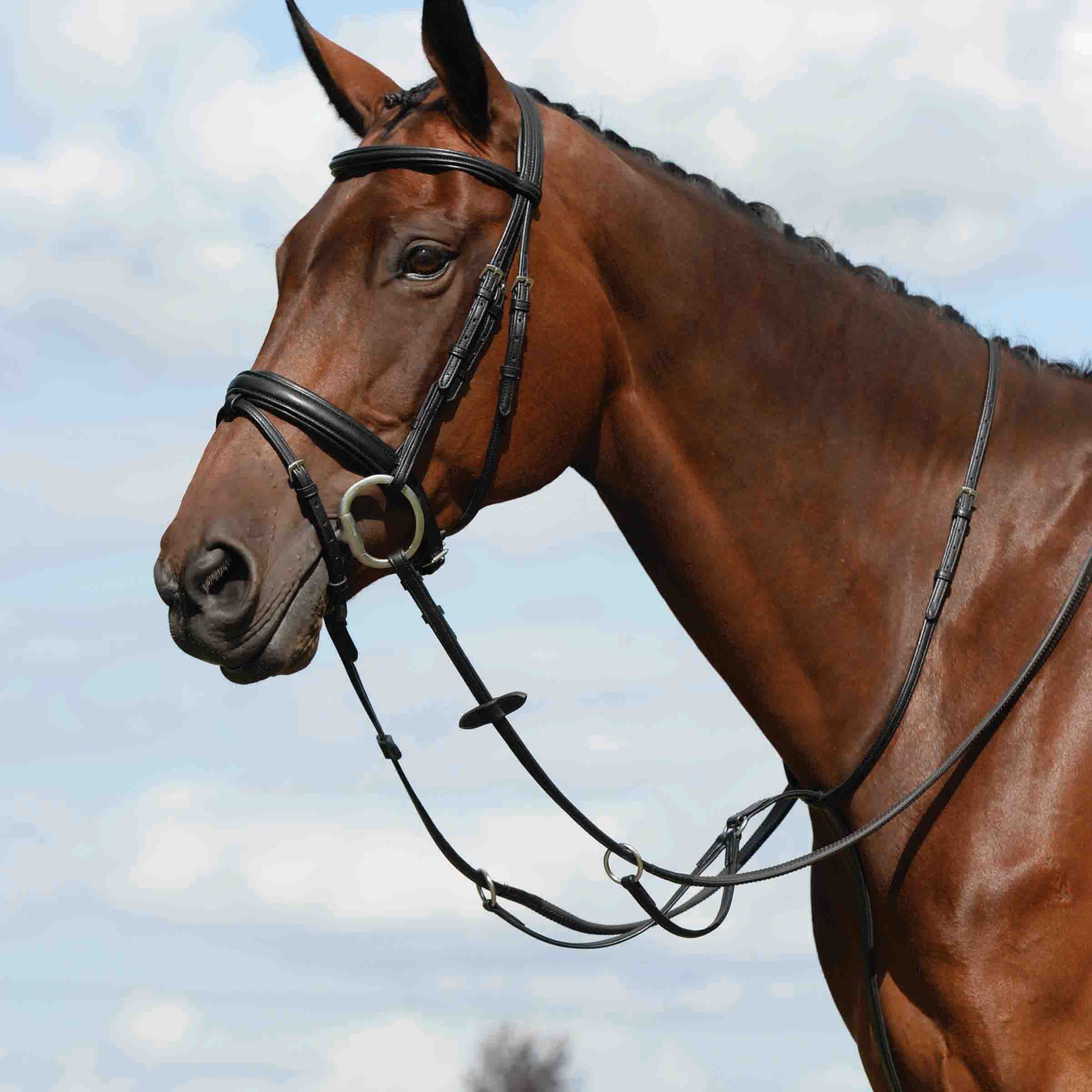 image_main - Black - Collegiate Syntovia+ Plain Flat Running Martingale - .jpg