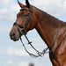 image_main - Black - Collegiate Syntovia+ Plain Flat Running Martingale - .jpg