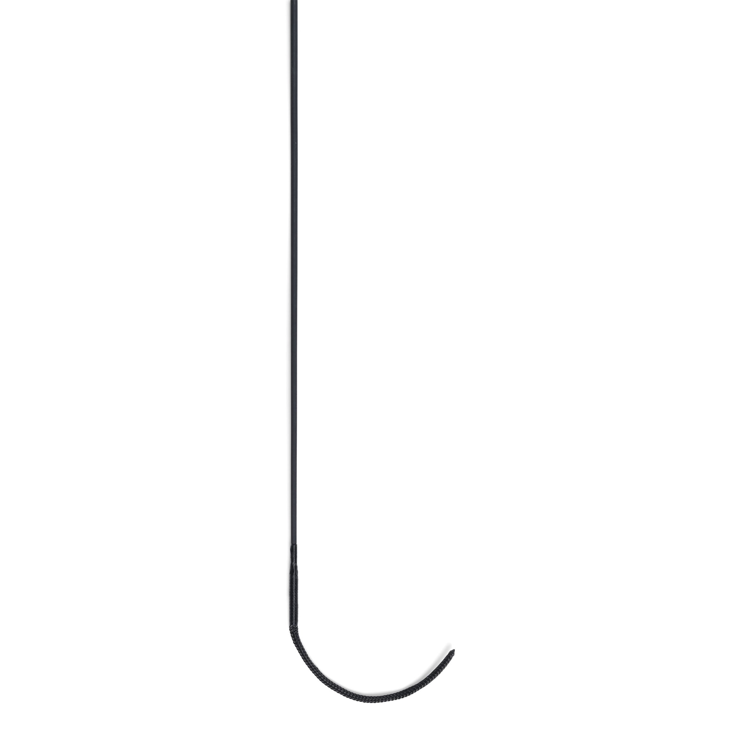 image_main - Black - Dublin Carbon Dressage Whip - .jpg