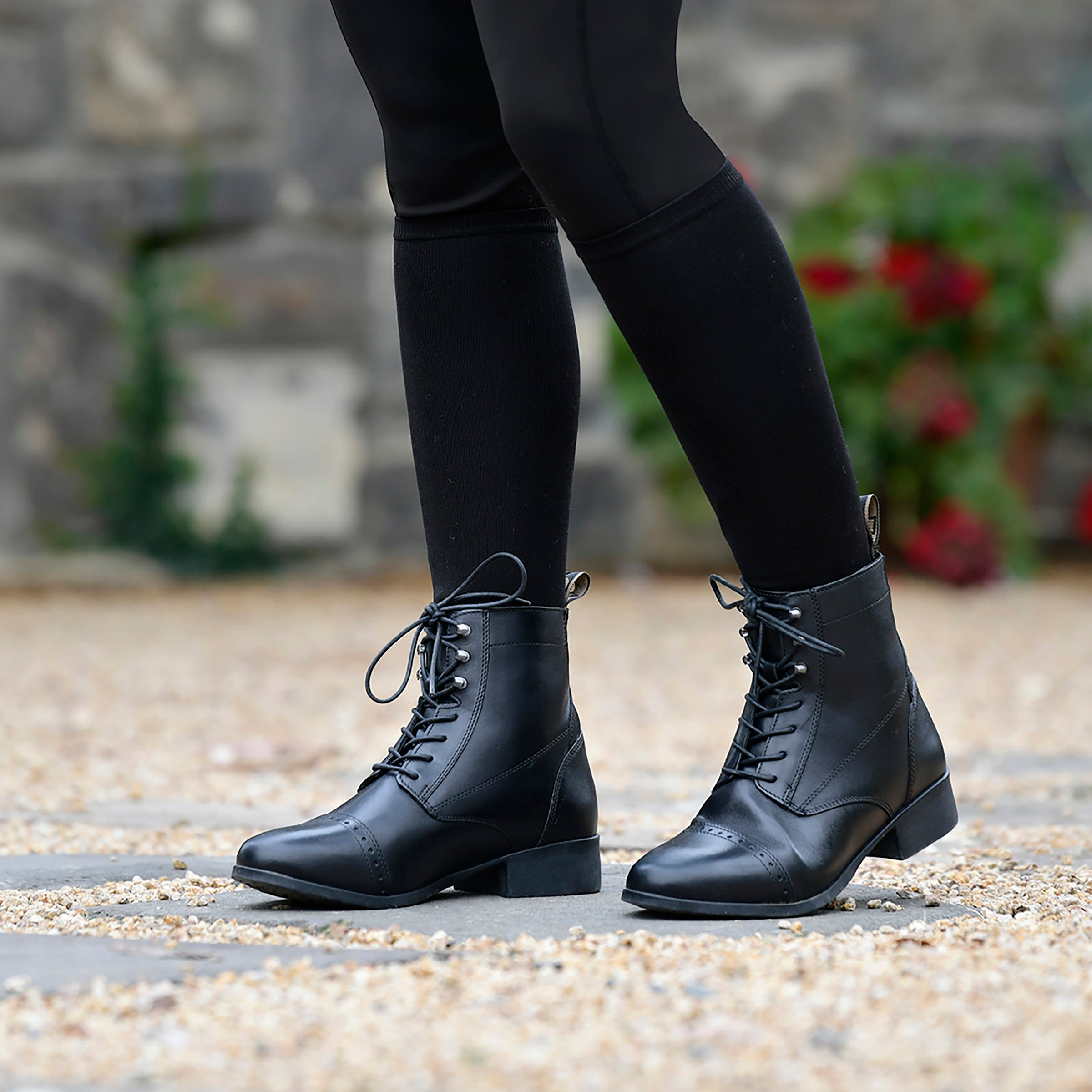 image_main - Black - Dublin Foundation Laced Paddock Boots II - .jpg