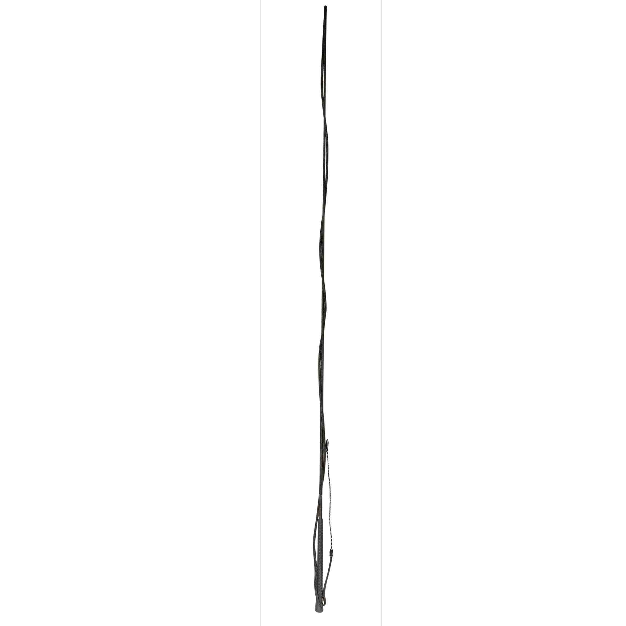 image_main - Black - Dublin Lunge Whip - .jpg