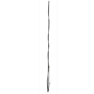 image_main - Black - Dublin Lunge Whip - .jpg