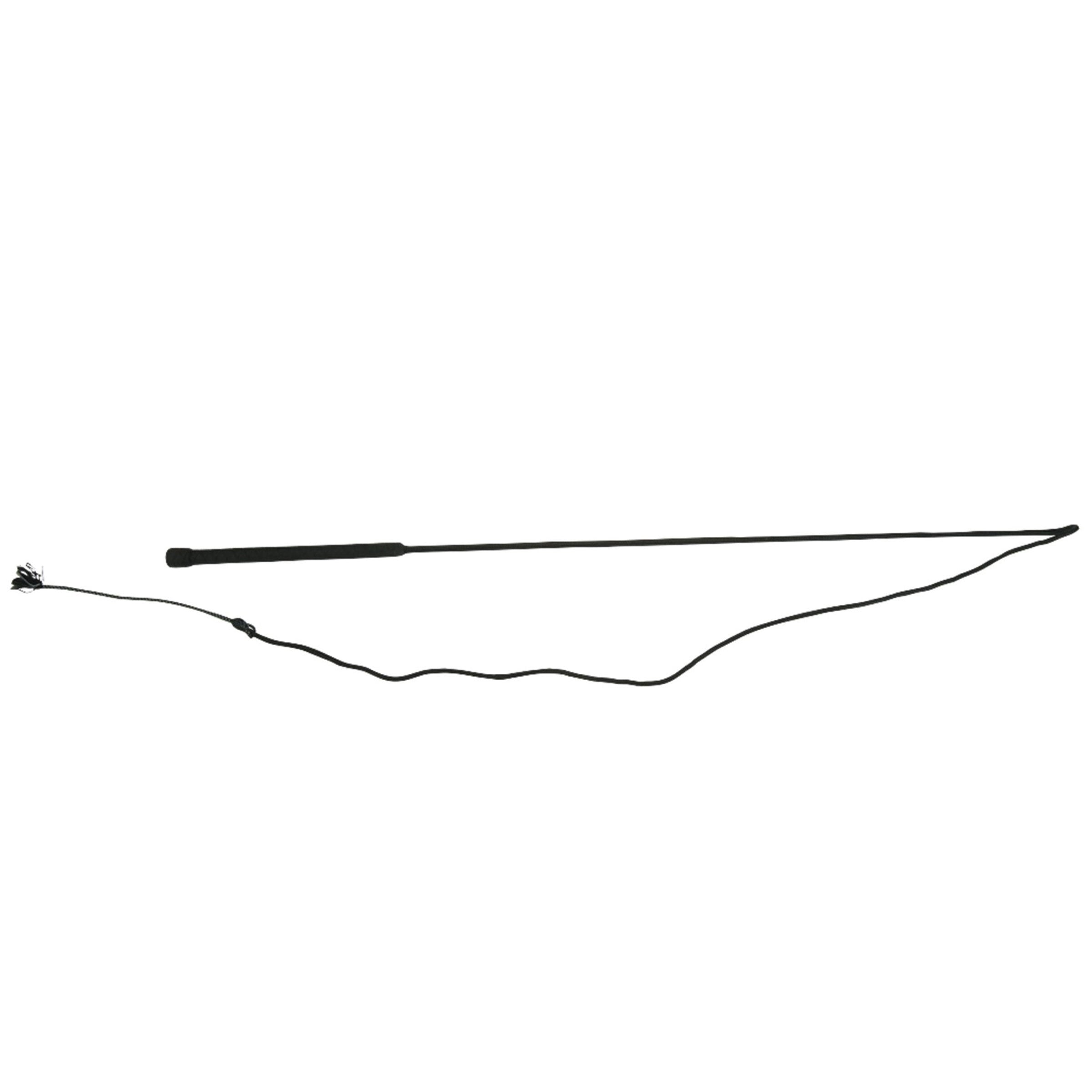 image_main - Black - Dublin Mini Lunge Whip - .jpg