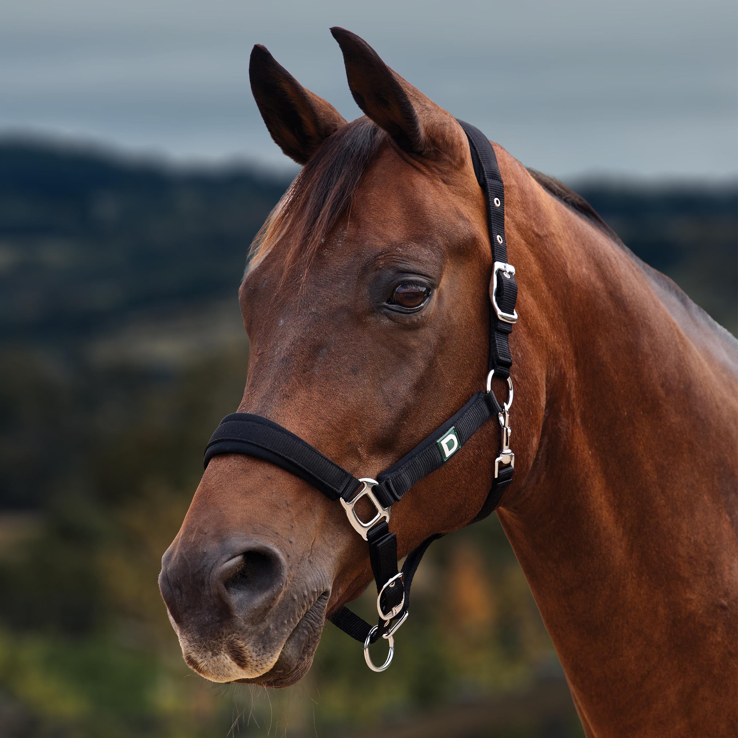 image_main - Black - Dublin Neo Comfort Breakaway Halter - .jpg
