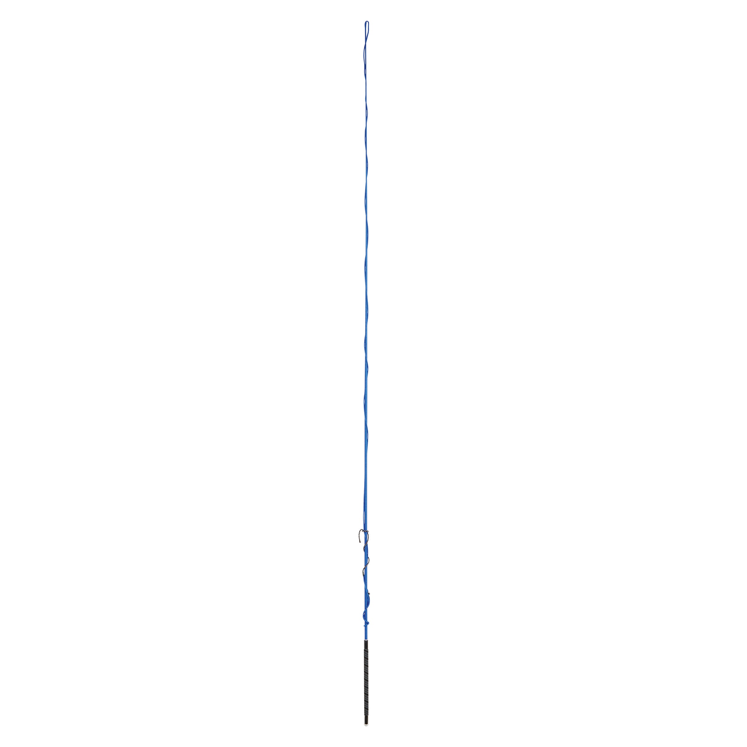 image_main - Blue - Dublin Lunge Whip with Grip Handle - .jpg