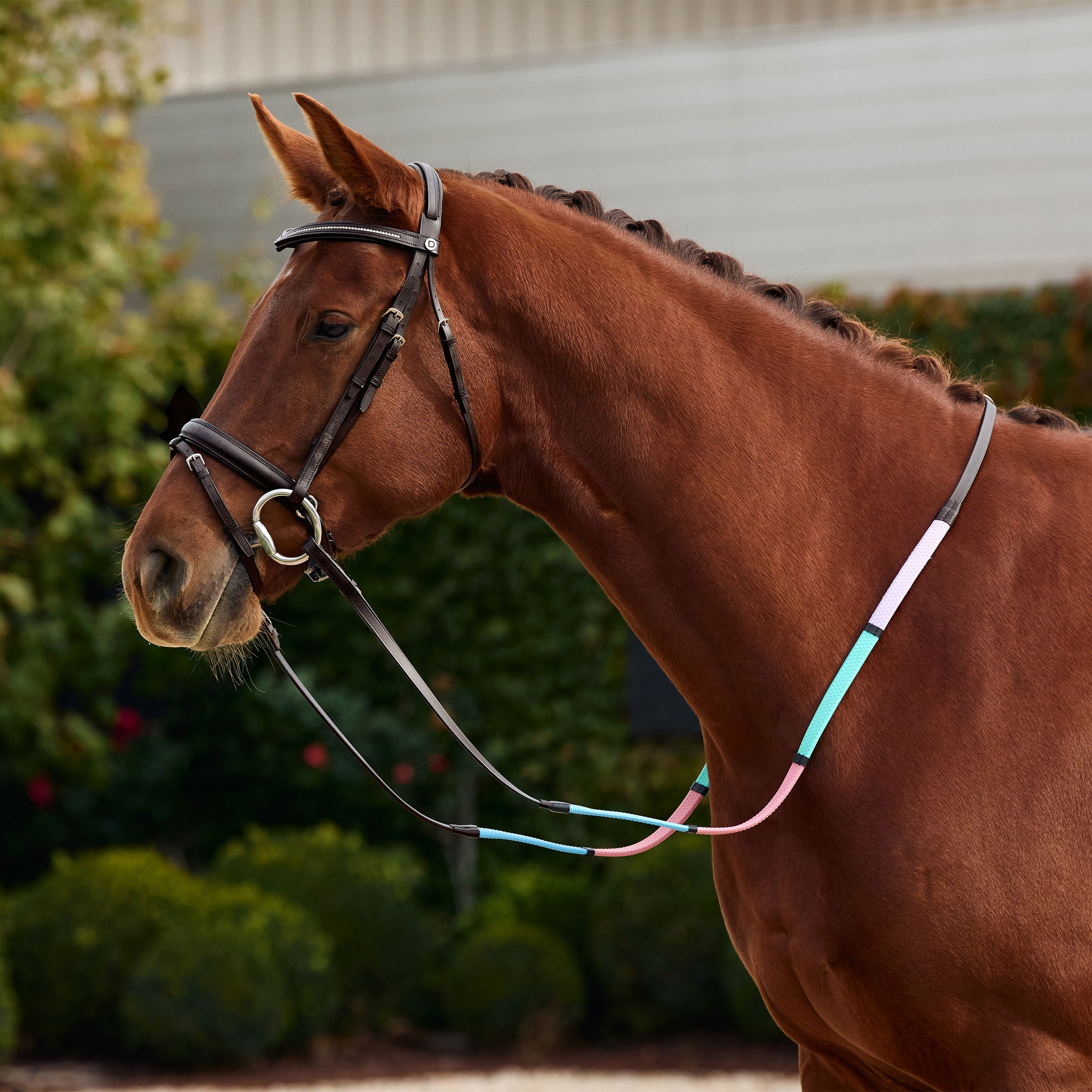 image_main - Brown/Multi - Dublin Pastel Rainbow Reins - .jpg