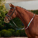 image_main - Brown/Multi - Dublin Pastel Rainbow Reins - .jpg