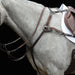image_main - Brown - Collegiate 5-Point Breastplate IV - .jpg