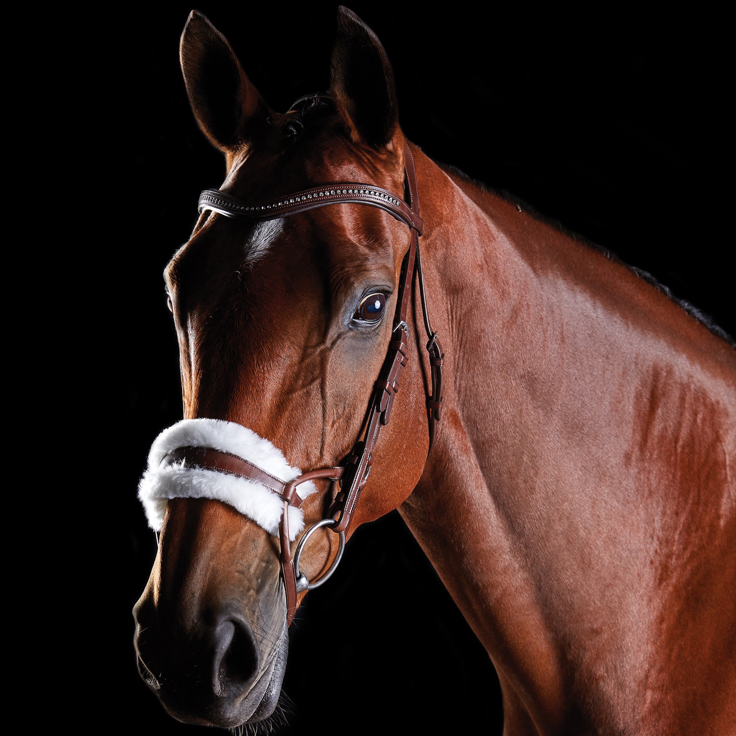 image_main - Brown - Collegiate ComFiTec Sheepskin Bridle - .jpg