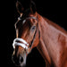 image_main - Brown - Collegiate ComFiTec Sheepskin Bridle - .jpg
