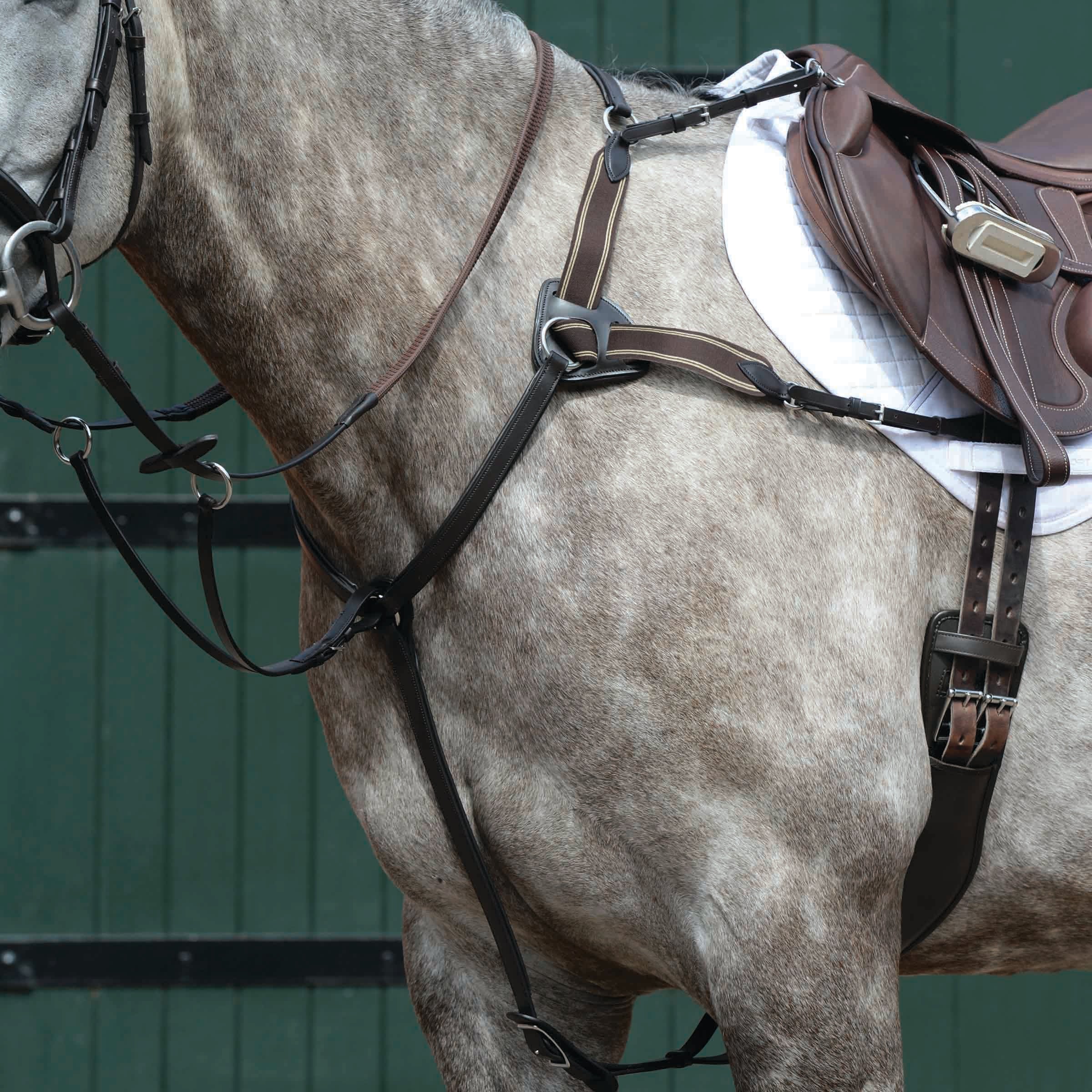 image_main - Brown - Collegiate Essential 5-Point Breastplate - .jpg