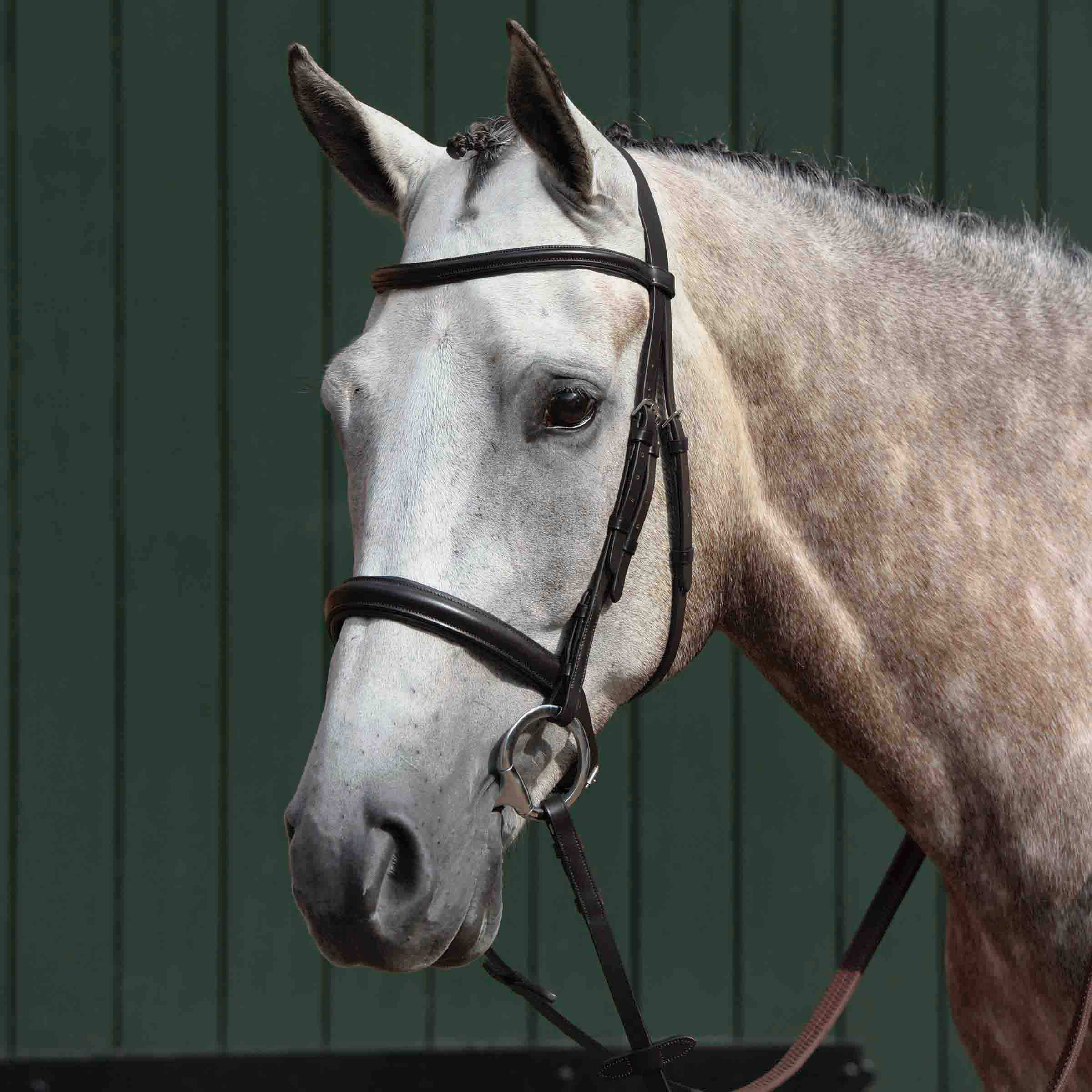 image_main - Brown - Collegiate Essential Padded Raised Cavesson Bridle - .jpg