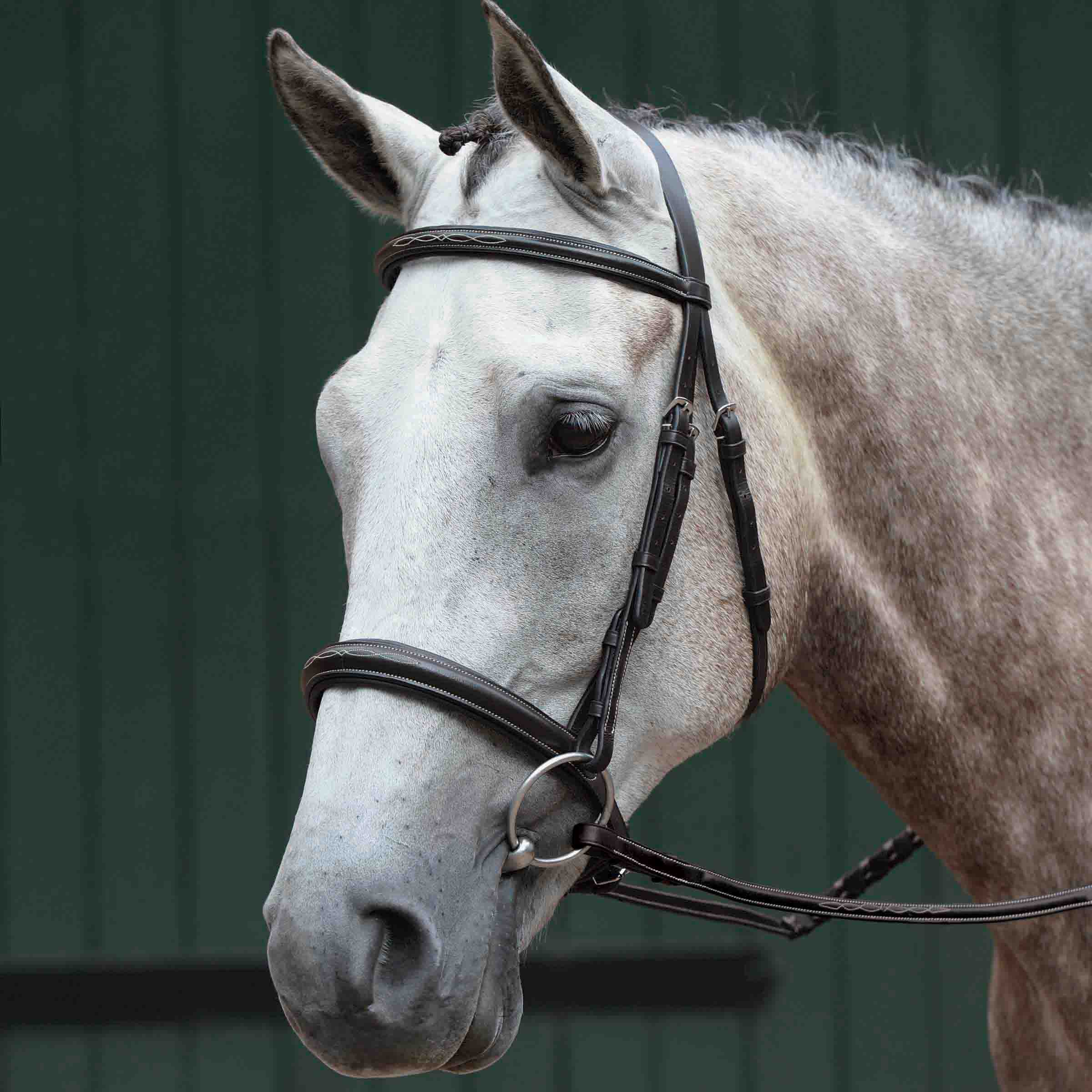 image_main - Brown - Collegiate Essential Padded Raised Fancy Stitched Cavesson Bridle - .jpg