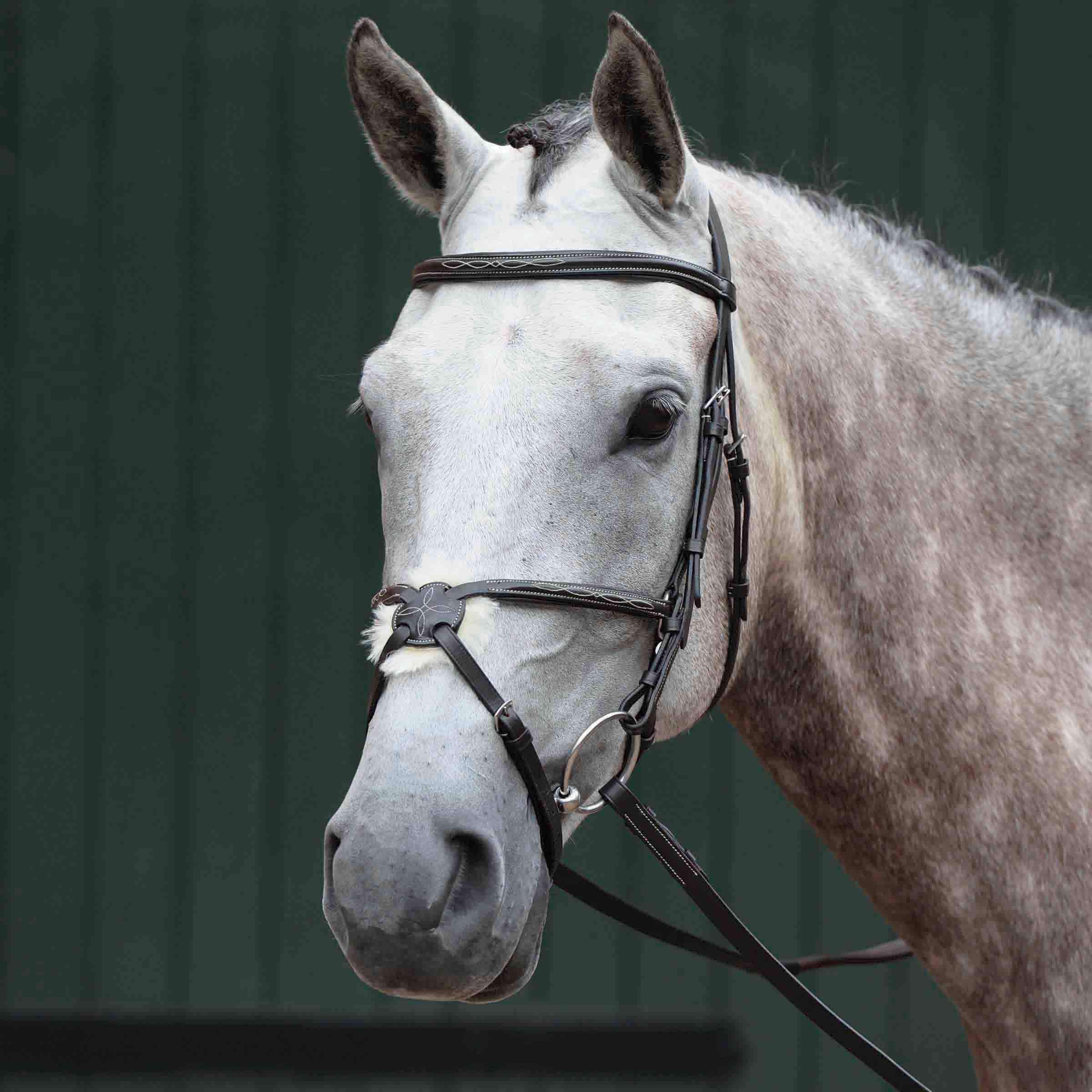 image_main - Brown - Collegiate Essential Padded Raised Fancy Stitched Figure 8 Bridle - .jpg