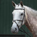 image_main - Brown - Collegiate Essential Padded Raised Fancy Stitched Figure 8 Bridle - .jpg