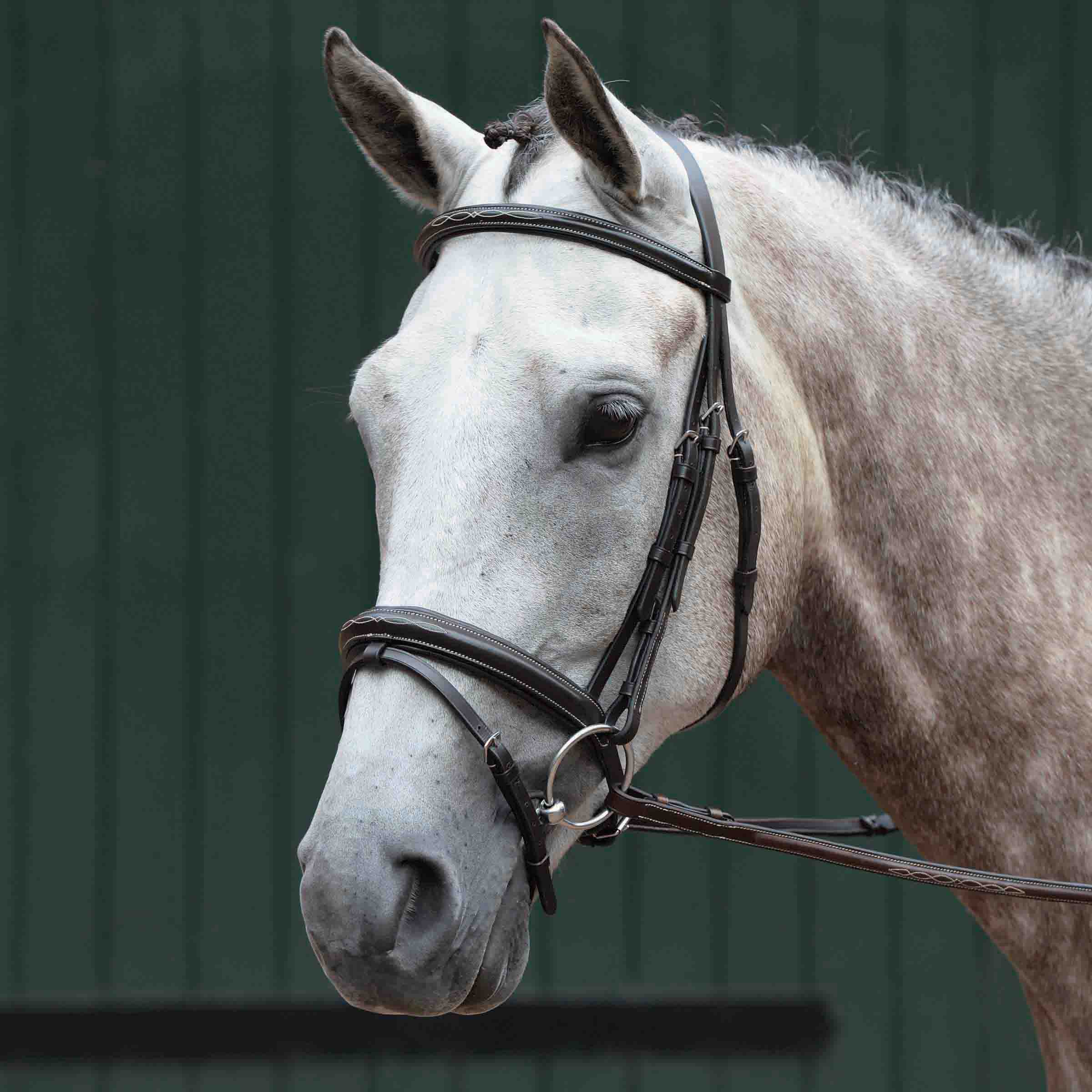 image_main - Brown - Collegiate Essential Padded Raised Fancy Stitched Flash Bridle - .jpg