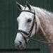 image_main - Brown - Collegiate Essential Padded Raised Fancy Stitched Flash Bridle - .jpg