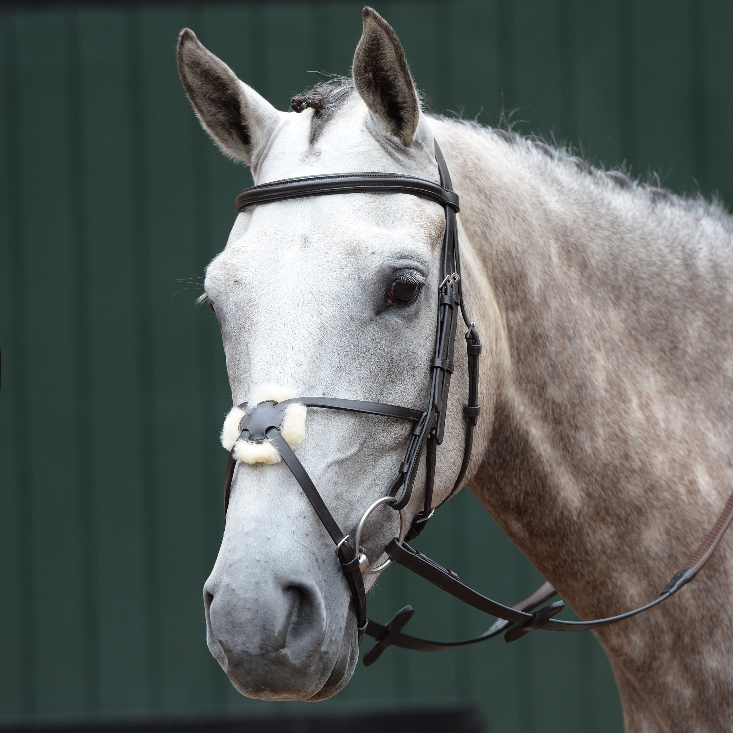 image_main - Brown - Collegiate Essential Padded Raised Figure 8 Bridle - .jpg