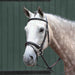 image_main - Brown - Collegiate Essential Padded Raised Flash Bridle - .jpg