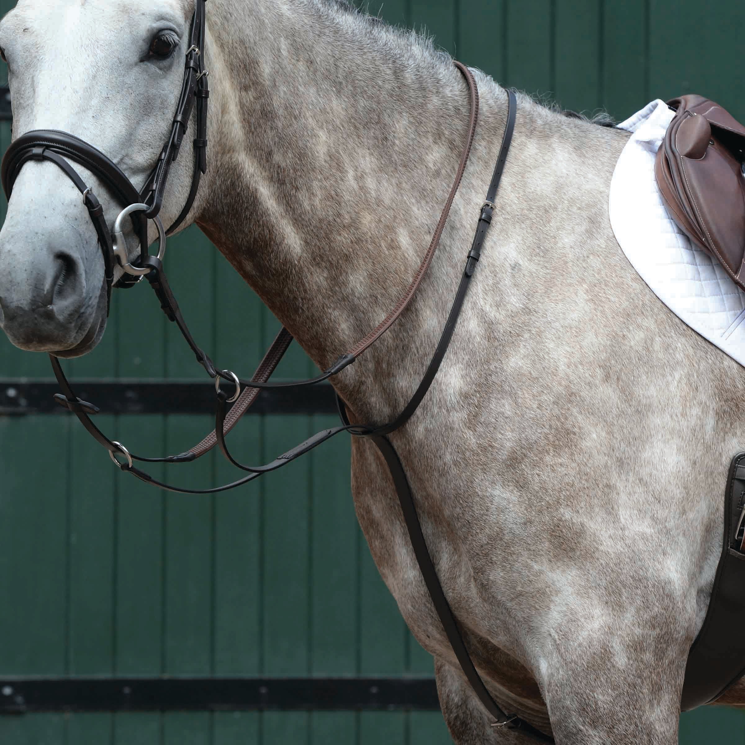 image_main - Brown - Collegiate Essential Plain Flat Running Martingale - .jpg