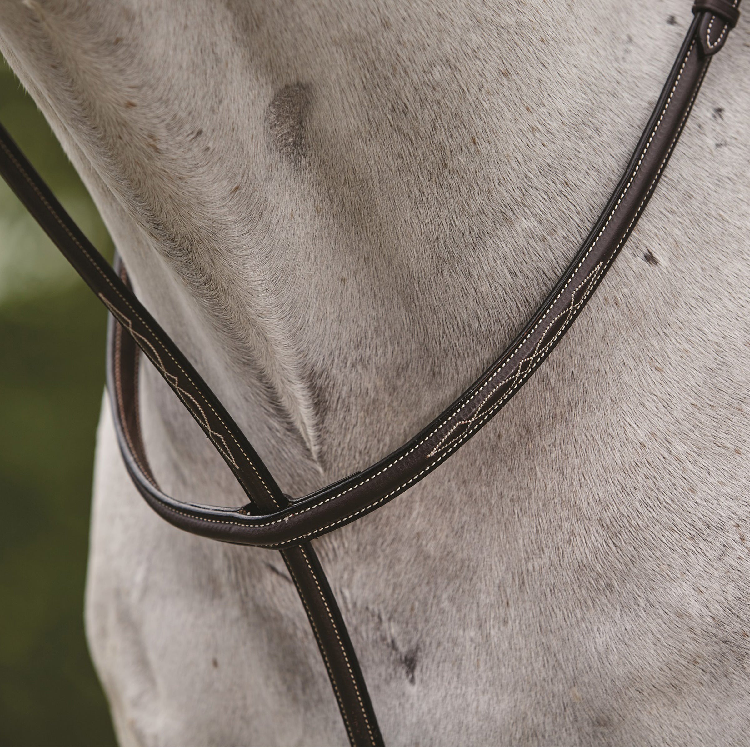 image_main - Brown - Collegiate Fancy Stitched Raised Standing Martingale II - .jpg