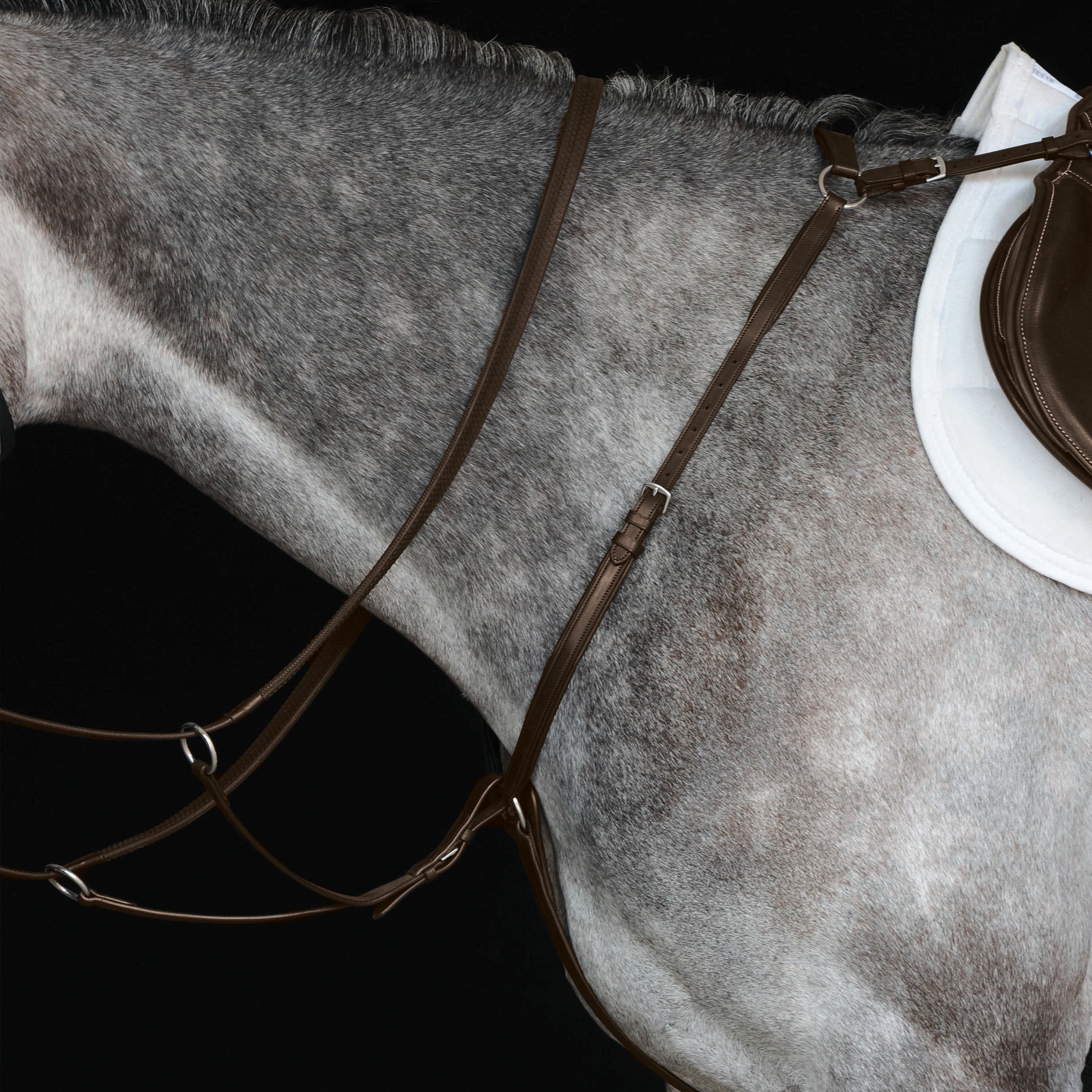 image_main - Brown - Collegiate Hunter Breast Plate IV - .jpg