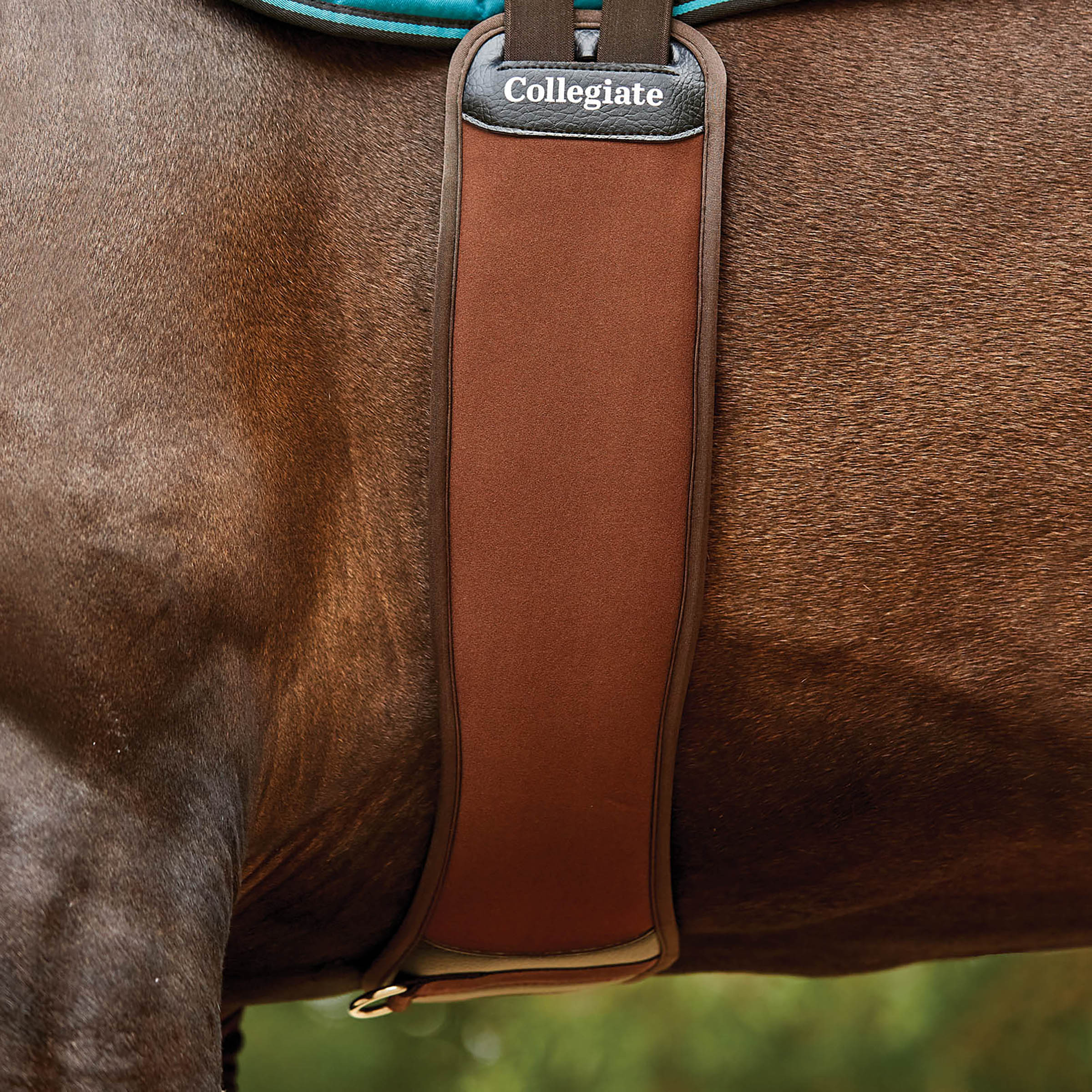 image_main - Brown - Collegiate Memory Foam Girth - .jpg