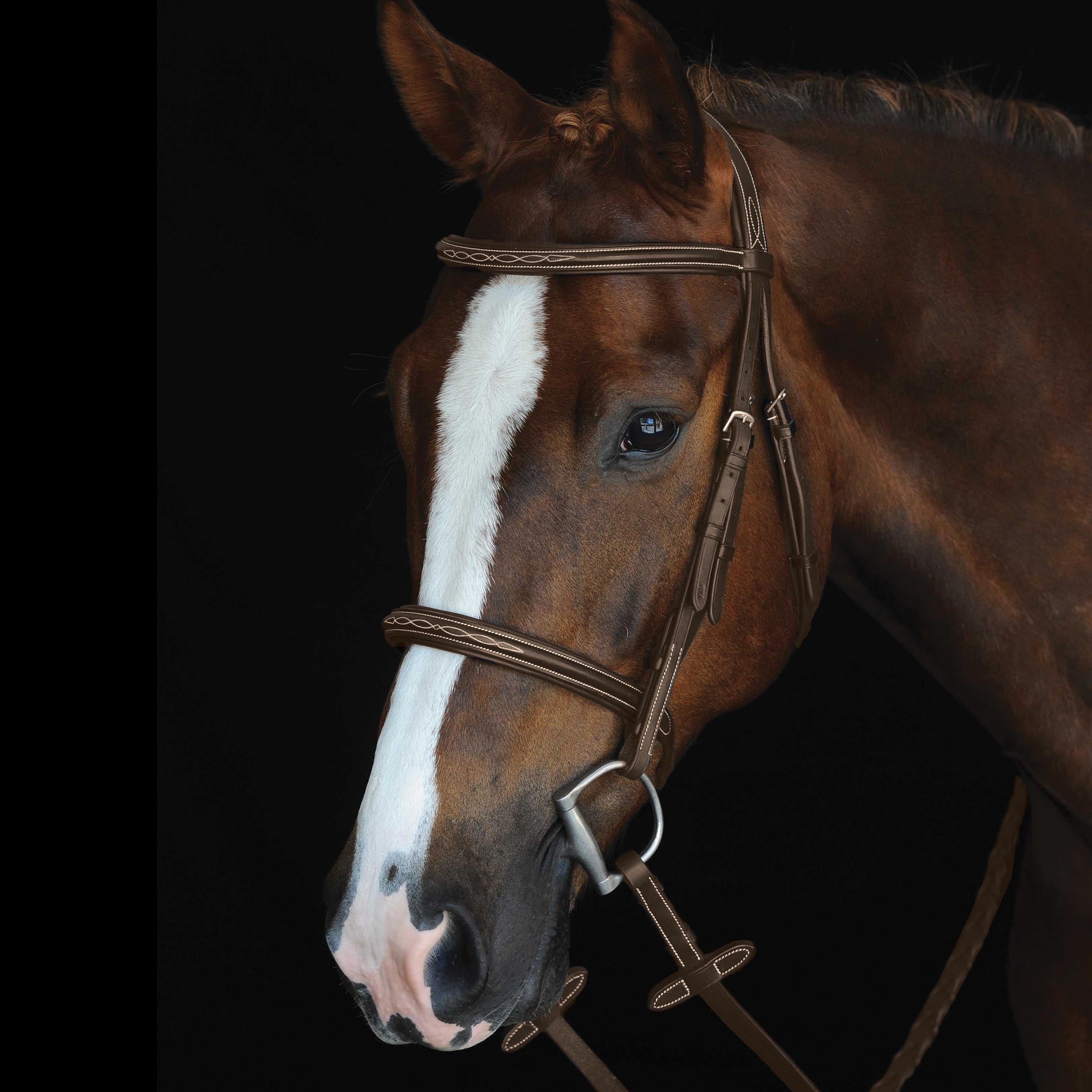 image_main - Brown - Collegiate Mono Crown Fancy Stitched Raised Cavesson Bridle - .jpg