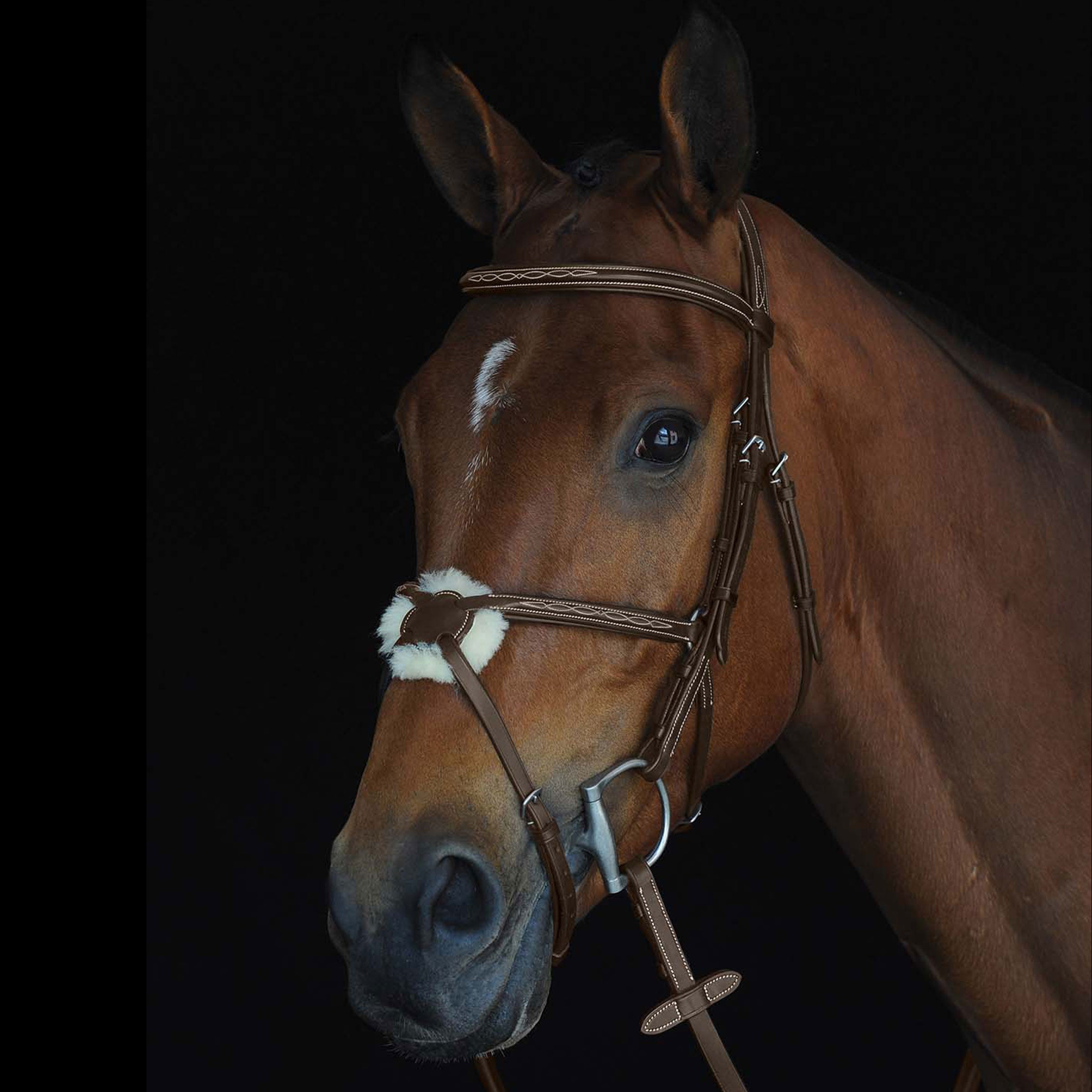image_main - Brown - Collegiate Mono Crown Fancy Stitched Raised Jumper Figure 8 Bridle - .jpg