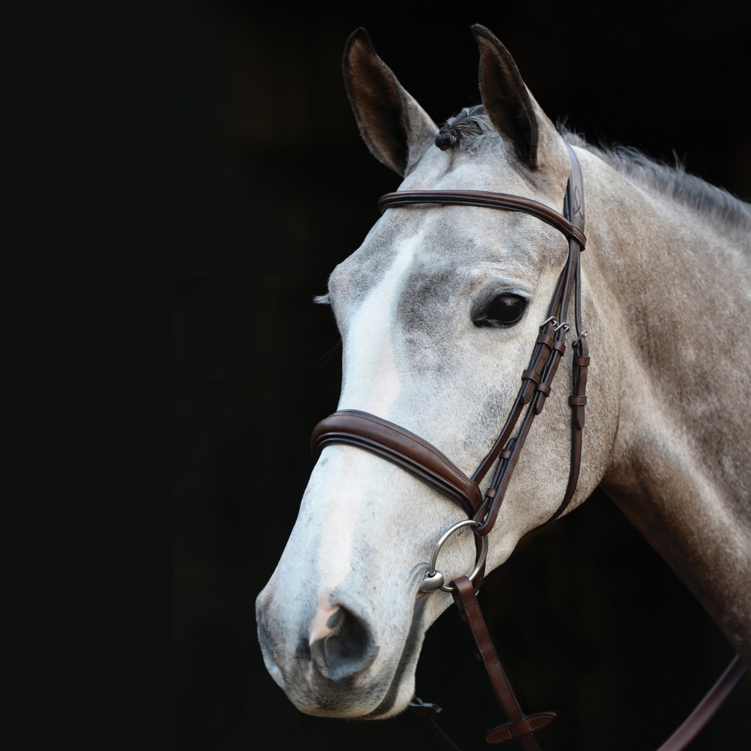 image_main - Brown - Collegiate Mono Crown Padded Raised Cavesson Bridle - .jpg