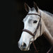 image_main - Brown - Collegiate Mono Crown Padded Raised Cavesson Bridle - .jpg