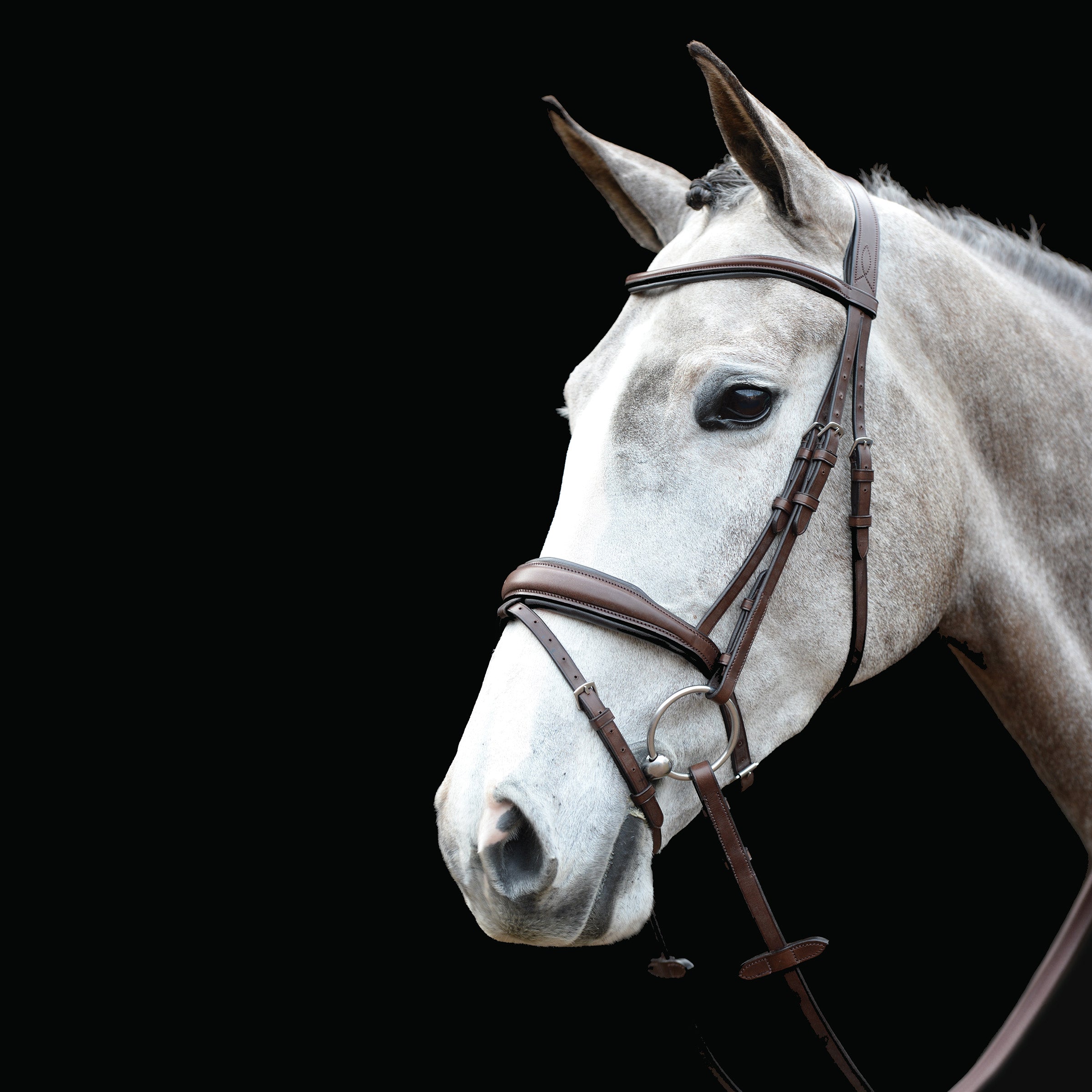image_main - Brown - Collegiate Mono Crown Padded Raised Flash Bridle - .jpg
