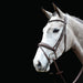 image_main - Brown - Collegiate Mono Crown Padded Raised Flash Bridle - .jpg