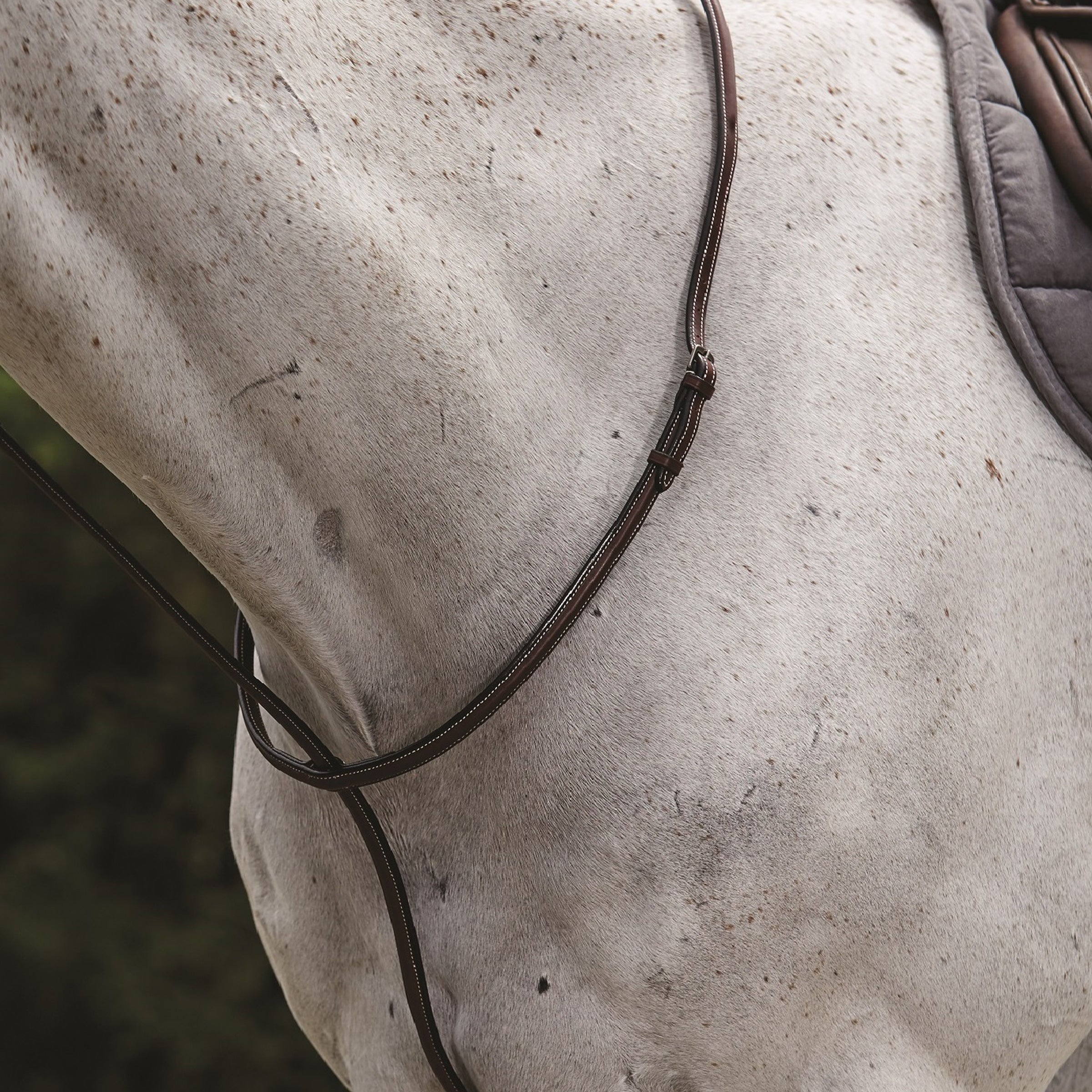 image_main - Brown - Collegiate Raised Standing Martingale II - .jpg