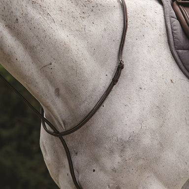 image_main - Brown - Collegiate Raised Standing Martingale II - .jpg