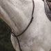image_main - Brown - Collegiate Raised Standing Martingale II - .jpg