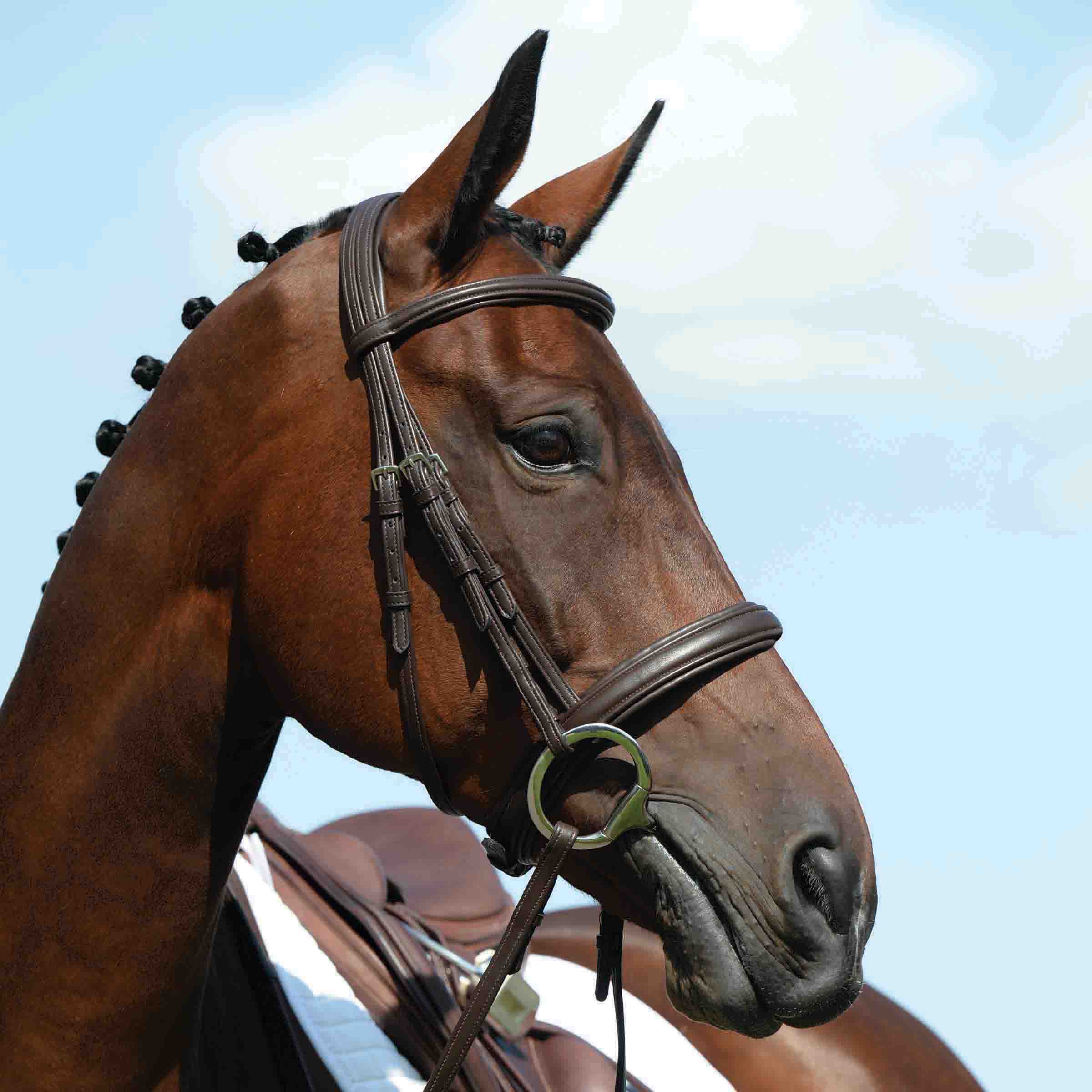 image_main - Brown - Collegiate Syntovia+ Padded Raised Cavesson Bridle - .jpg