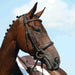 image_main - Brown - Collegiate Syntovia+ Padded Raised Cavesson Bridle - .jpg