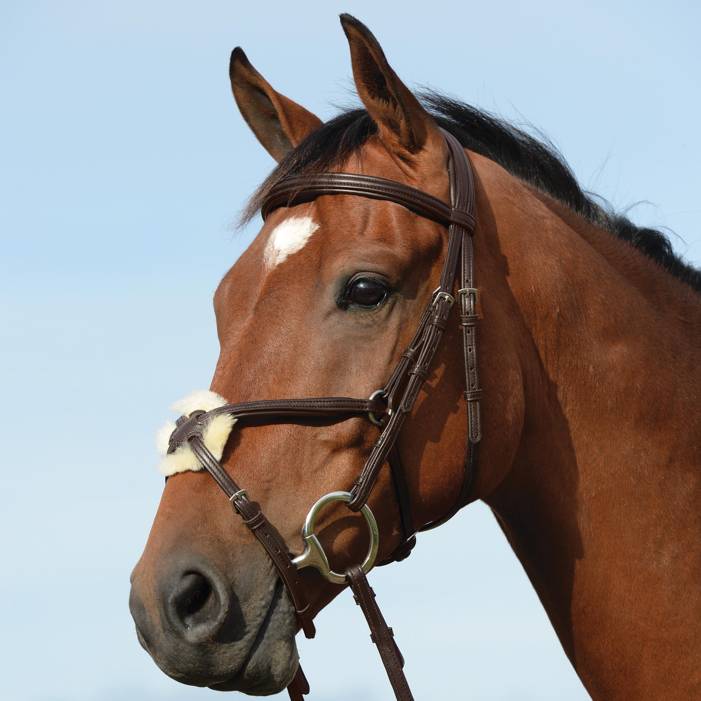image_main - Brown - Collegiate Syntovia+ Padded Raised Figure 8 Bridle - .jpg