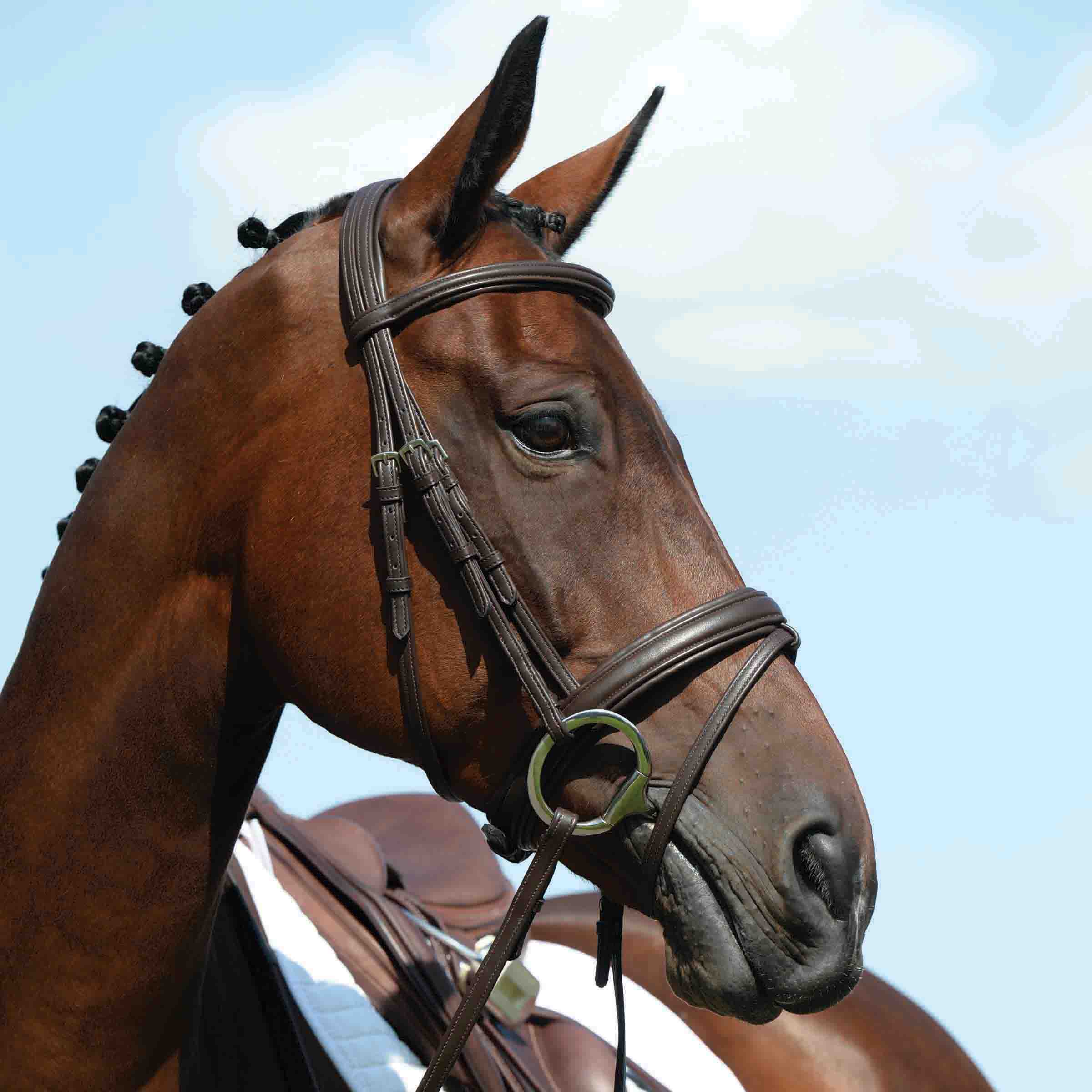 image_main - Brown - Collegiate Syntovia+ Padded Raised Flash Bridle - .jpg