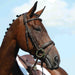 image_main - Brown - Collegiate Syntovia+ Padded Raised Flash Bridle - .jpg