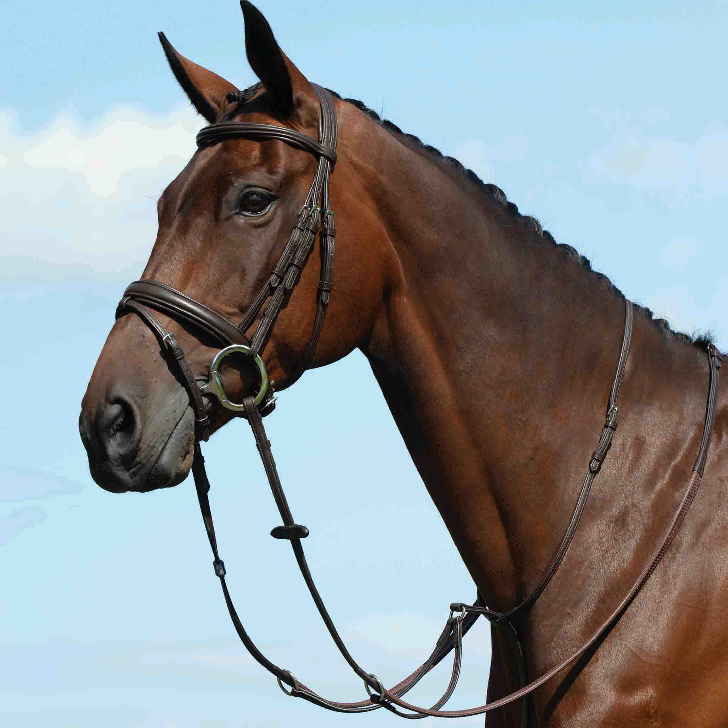 image_main - Brown - Collegiate Syntovia+ Plain Flat Running Martingale - .jpg