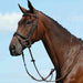 image_main - Brown - Collegiate Syntovia+ Plain Flat Running Martingale - .jpg